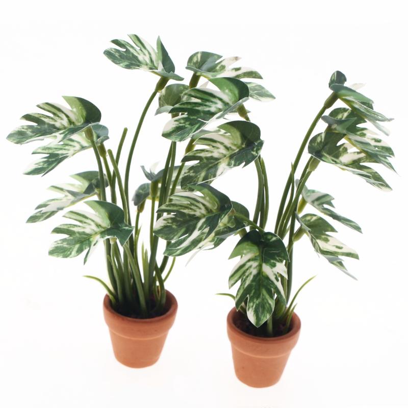 Novo. 1PC Planta Verde Monster - Home Decor Green avaliação e preço